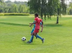 美加墨世界,资讯,美加墨世界杯,美加墨世界杯,2026世界杯,北美世界杯,足球赛事,世界杯赛程,世界杯看点,足球盛事,体育新闻,国际足球